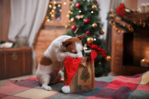 Keep Dogs Safe During the Holidays!
